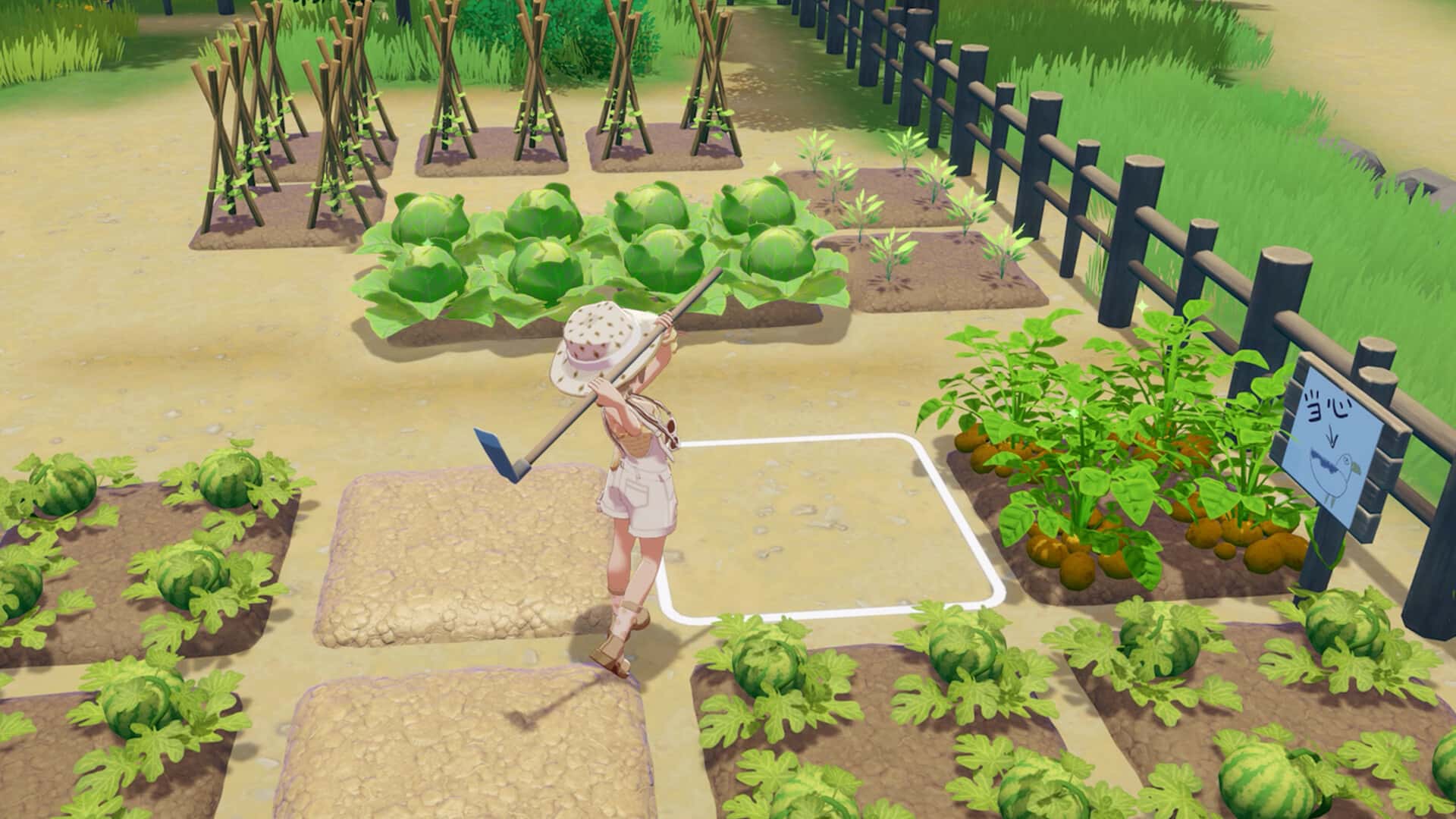 星砂岛 Starsand Island 中文正式版封面
